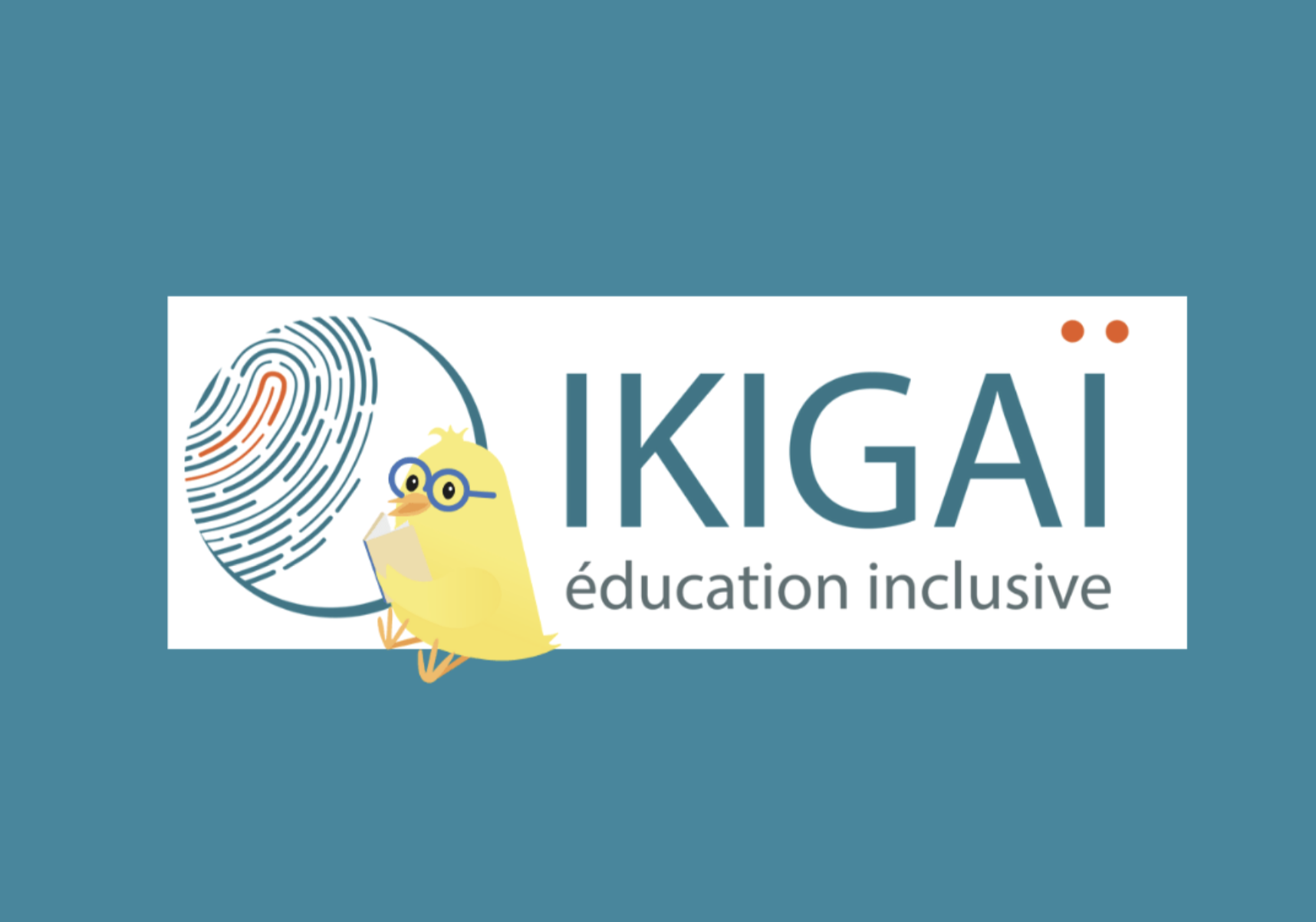 La newsletter d'Ikigaï est arrivée